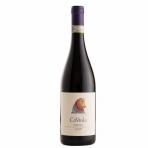Ca Viola - Barolo 2021