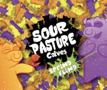 Bolero Snort - Sour Pasture Calves (4 pack 16oz cans) (4 pack 16oz cans)