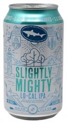 Dogfish Head - Slightly Mighty (12oz bottles) (12oz bottles)