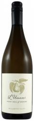 L'Umami - Pinot Gris 2023 (750ml) (750ml)